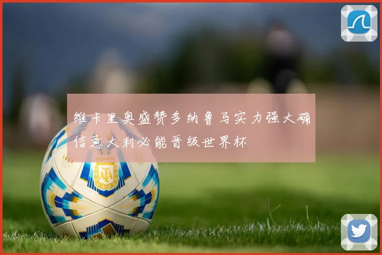 维卡里奥盛赞多纳鲁马实力强大确信意大利必能晋级世界杯
