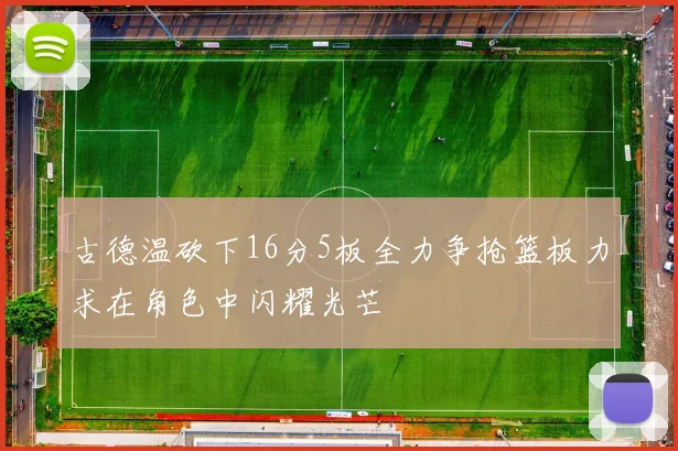 古德温砍下16分5板全力争抢篮板力求在角色中闪耀光芒