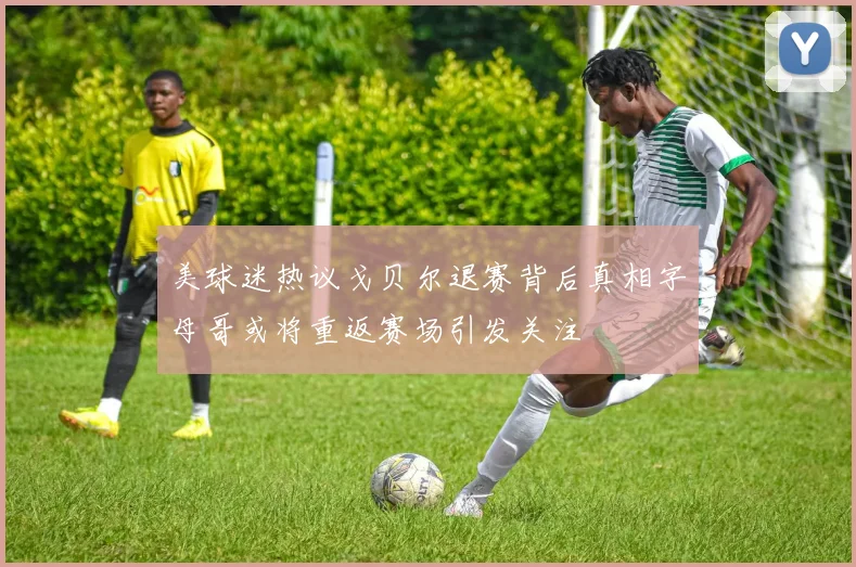 美球迷热议戈贝尔退赛背后真相字母哥或将重返赛场引发关注