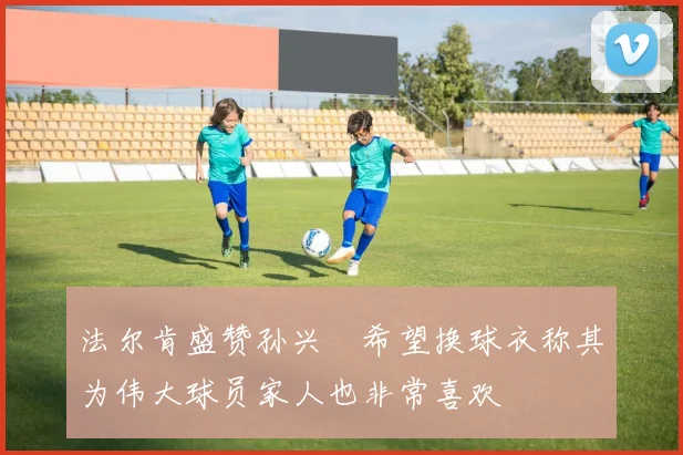 法尔肯盛赞孙兴慜希望换球衣称其为伟大球员家人也非常喜欢