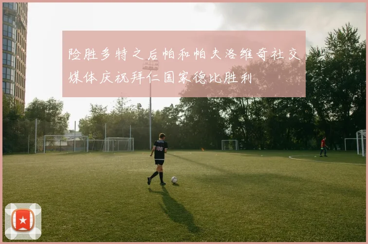 险胜多特之后帕和帕夫洛维奇社交媒体庆祝拜仁国家德比胜利