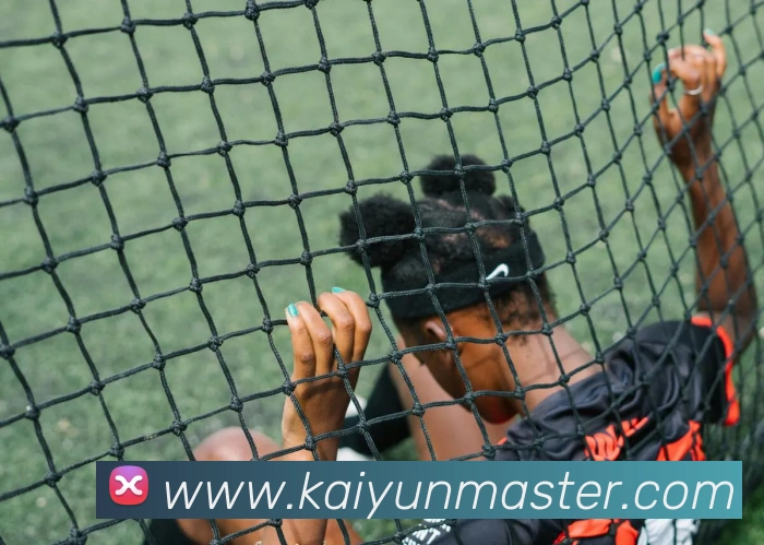 开云体育APP 封面图